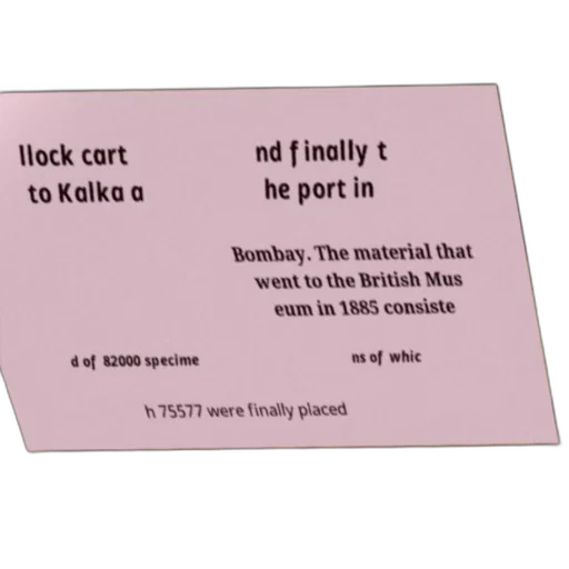 hat, text-heavy, image, discussing transparent PNG cut-out