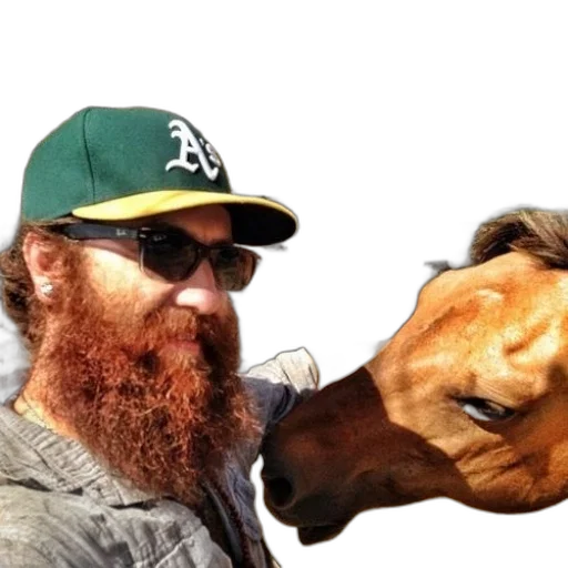 animal, creature, hair, hat transparent PNG cut-out