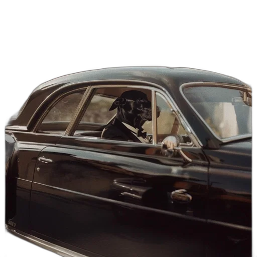 car, animal, mask, crown transparent PNG cut-out