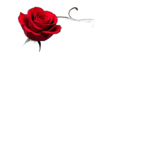 flower, staff, jewelry, crown transparent PNG cut-out