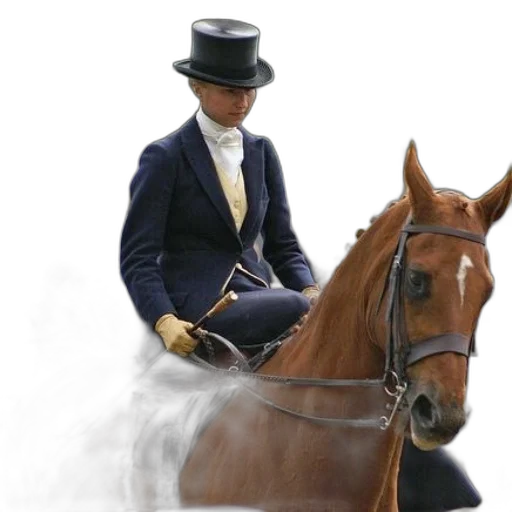 hat, animal, staff, photorealistic transparent PNG cut-out