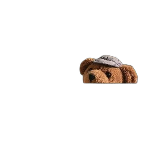 hat, jacket, food, animal transparent PNG cut-out