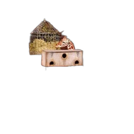face, food, building, animal transparent PNG cut-out