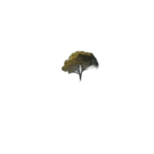 tree, hat, umbrella, crown transparent PNG cut-out