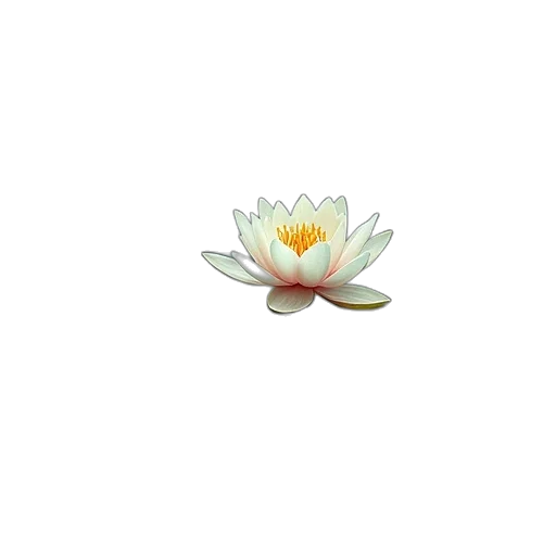 flower, jewelry, crown, staff transparent PNG cut-out