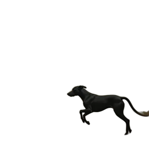 animal, staff, creature, dragon transparent PNG cut-out