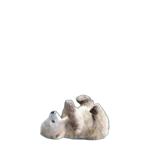 animal, food, creature, shoes transparent PNG cut-out