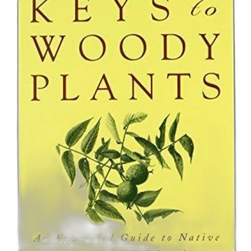 image, book, cover, titled transparent PNG cut-out