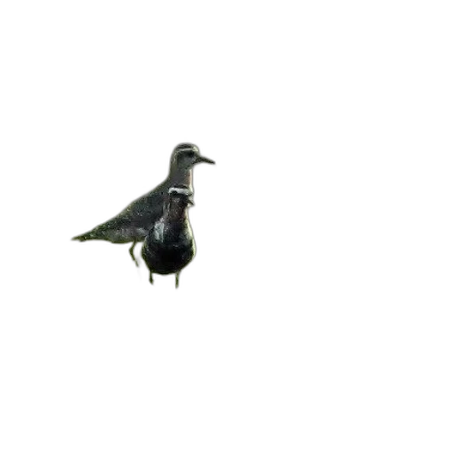animal, creature, robot, staff transparent PNG cut-out