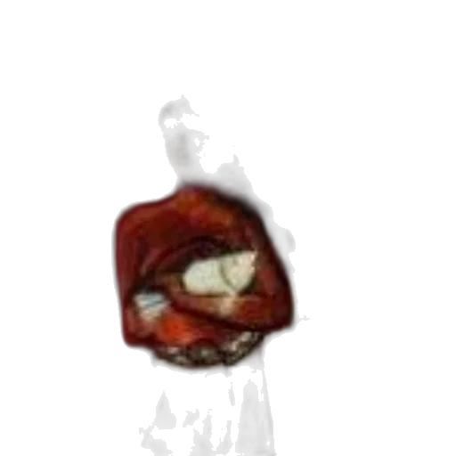 face, food, creature, animal transparent PNG cut-out