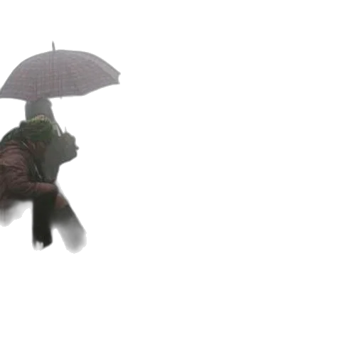 umbrella, jacket, hat, staff transparent PNG cut-out