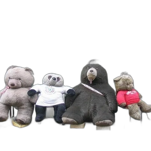 four, stuffed, bears, sit transparent PNG cut-out