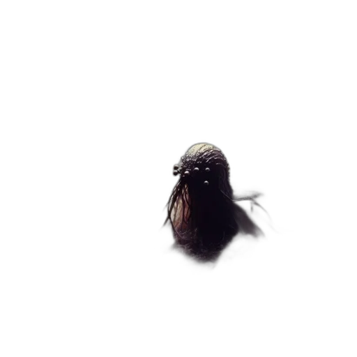 creature, animal, hair, face transparent PNG cut-out