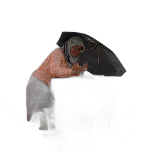umbrella, hat, jacket, staff transparent PNG cut-out