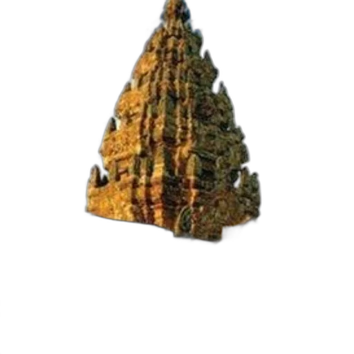crown, tree, jewelry, hat transparent PNG cut-out