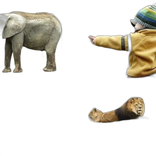 animal, hat, creature, concept art transparent PNG cut-out
