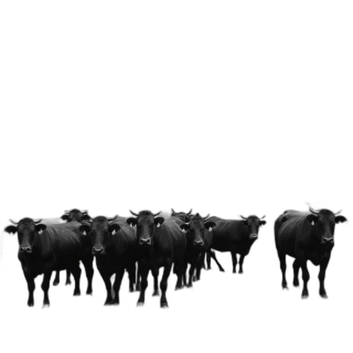animal, concept art, 3d render, black transparent PNG cut-out