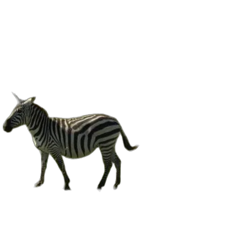 animal, creature, dragon, jewelry transparent PNG cut-out