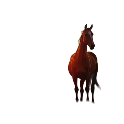 animal, creature, crown, hair transparent PNG cut-out