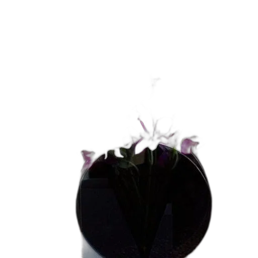 flower, crown, bottle, staff transparent PNG cut-out