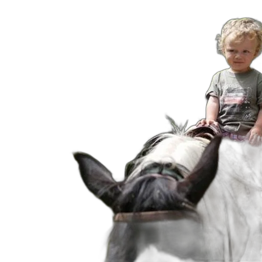 animal, creature, photorealistic, concept art transparent PNG cut-out