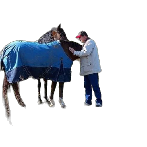 jacket, animal, umbrella, hat transparent PNG cut-out