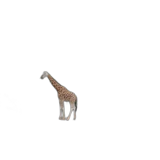 animal, creature, hat, weapon transparent PNG cut-out