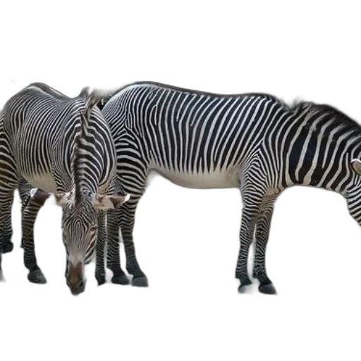 animal, creature, jewelry, 3d render transparent PNG cut-out