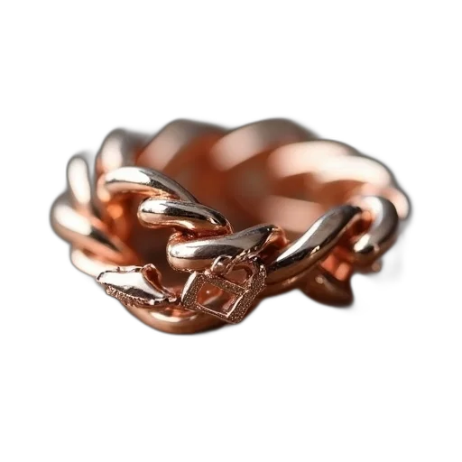 jewelry, crown, hair, dragon transparent PNG cut-out