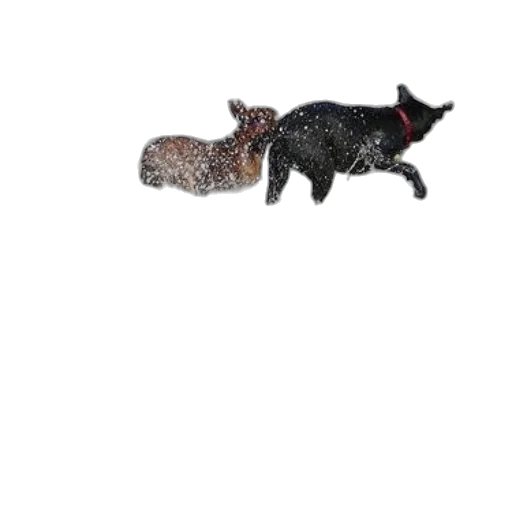 animal, staff, creature, dragon transparent PNG cut-out