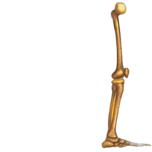 staff, sword, weapon, jewelry transparent PNG cut-out