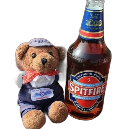 bottle, teddy, bear, dressed transparent PNG cut-out