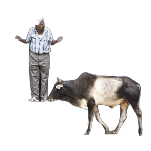 animal, creature, food, weapon transparent PNG cut-out