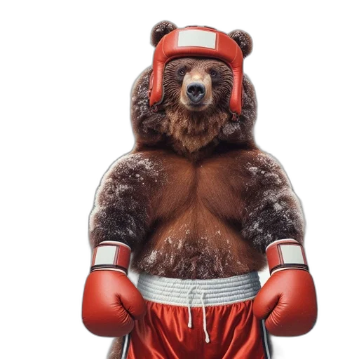 animal, anthropomorphized, bear, clad transparent PNG cut-out