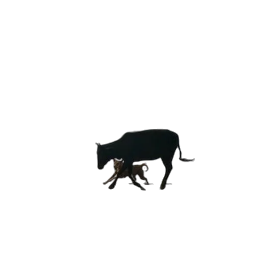animal, creature, food, dragon transparent PNG cut-out
