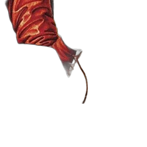 weapon, shoes, sword, food transparent PNG cut-out