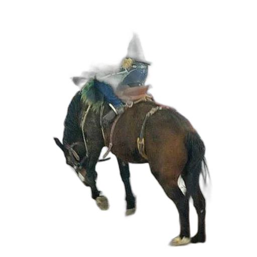 hat, staff, animal, dragon transparent PNG cut-out
