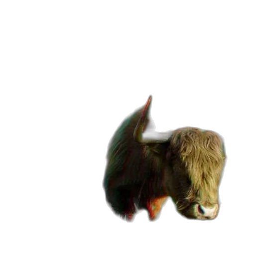 animal, creature, dragon, hair transparent PNG cut-out