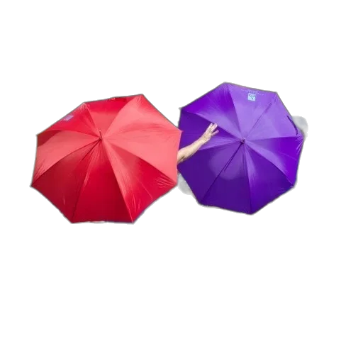 umbrella, flower, crown, hat transparent PNG cut-out