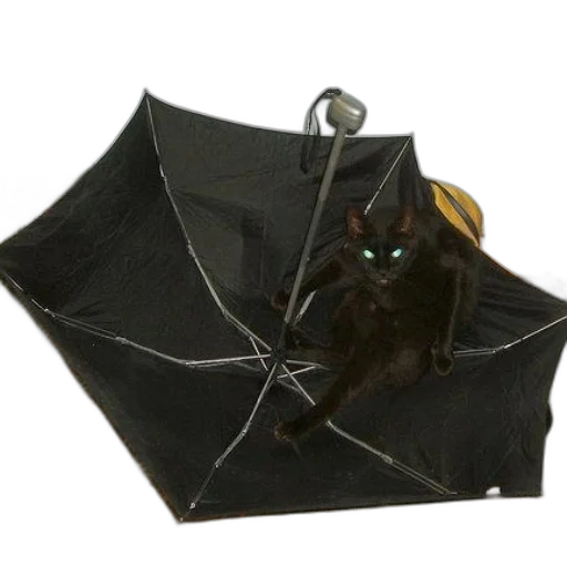 umbrella, creature, staff, animal transparent PNG cut-out