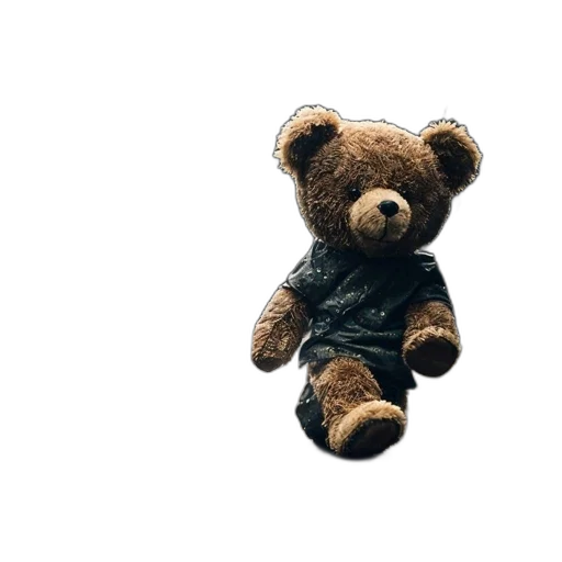 jacket, animal, creature, staff transparent PNG cut-out