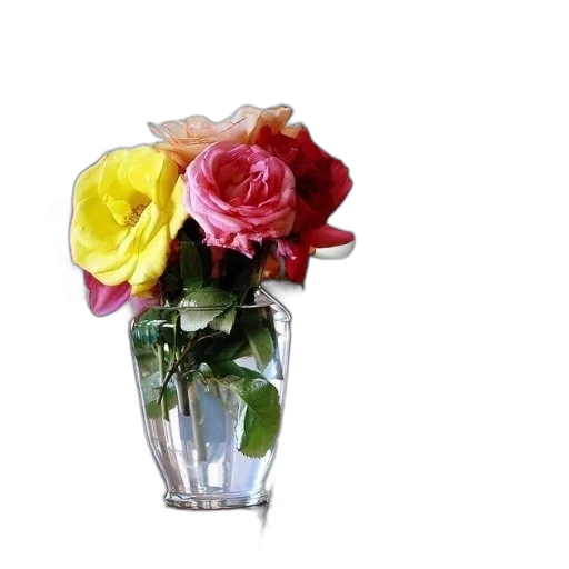 flower, crown, jewelry, bottle transparent PNG cut-out