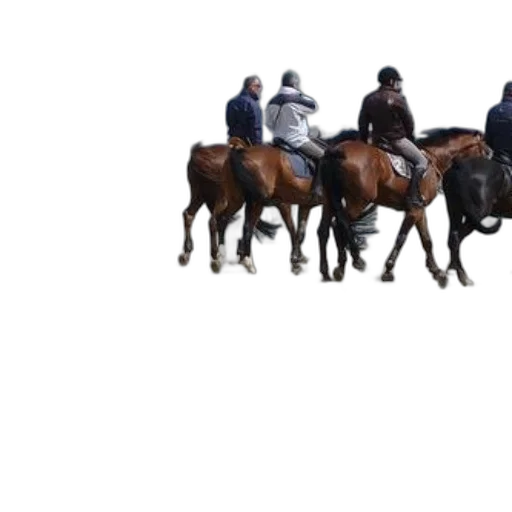 animal, staff, jacket, hat transparent PNG cut-out