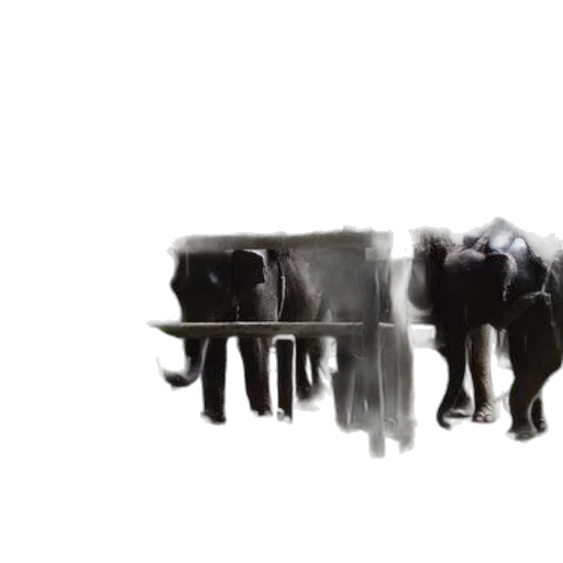 umbrella, staff, weapon, furniture transparent PNG cut-out