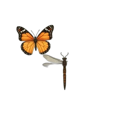 animal, jewelry, staff, creature transparent PNG cut-out