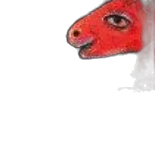 face, animal, mask, creature transparent PNG cut-out