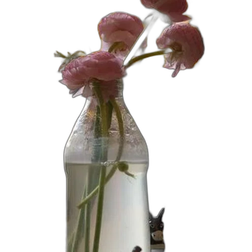 bottle, flower, weapon, dress transparent PNG cut-out