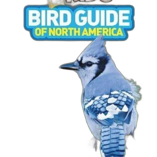 animal, national, geographic, kids transparent PNG cut-out