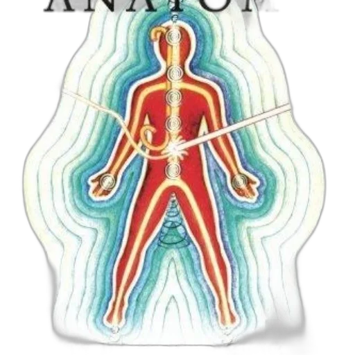 anatomy, illustrated, guide, book transparent PNG cut-out