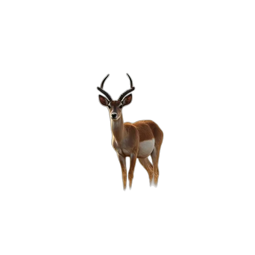 animal, creature, crown, staff transparent PNG cut-out